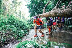 BIB: 
                            <button type="button" onclick="openModal(25465857)" class="btn btn-primary btn-sm float-right btn-popup" data-toggle="modal" data-target=".modal-high-quality">
                        <i class="fas fa-shopping-cart"></i> Add to Cart
                    </button>
                                            <button type="button" onclick="isThisMe(25465857, true)" class="btn btn-success btn-sm float-right btn-popup btn-isme hidden" data-toggle="tooltip" data-placement="bottom" title="นี่คือรูปของคุณใช่ไหม คลิกที่นี่เพื่อเอาเข้าอัลบั้ม">
                        <i class="fas fa-plus"></i> Add to album
                    </button>
                    <button type="button" onclick="isThisMe(25465857, false)" class="btn btn-warning btn-sm float-right btn-popup btn-isnotme hidden">
                        <i class="fas fa-ban"></i> Remove from album
                    </button>